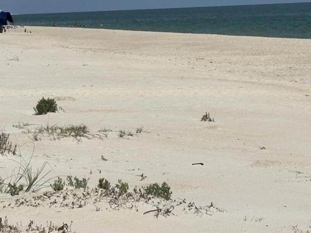 Land for sale in Maryland