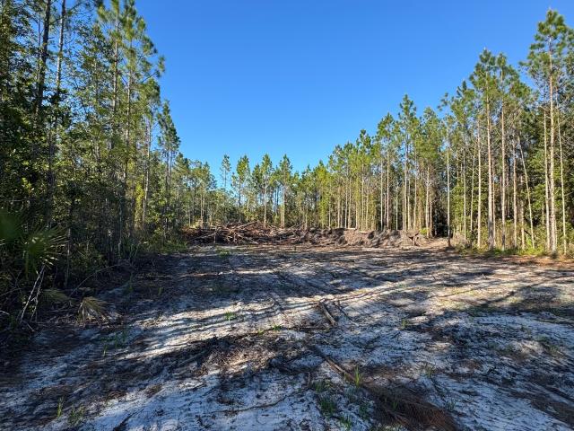 Land for sale in Georgia