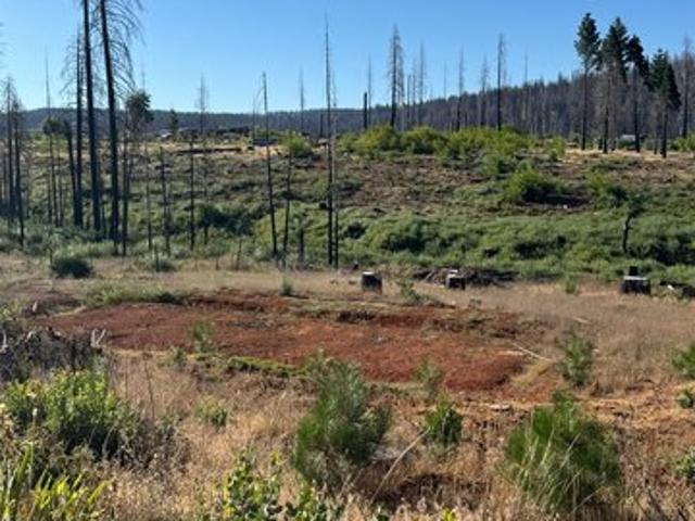 Land for sale in Grizzly Flats, El Dorado County