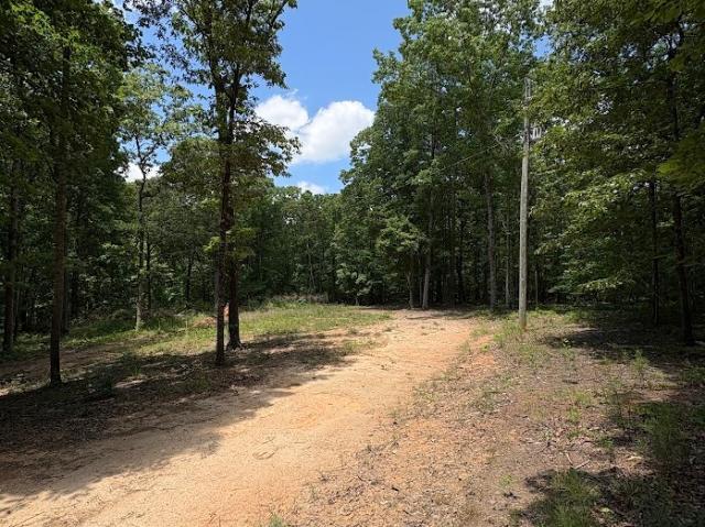 Land for sale in Haralson, Georgia