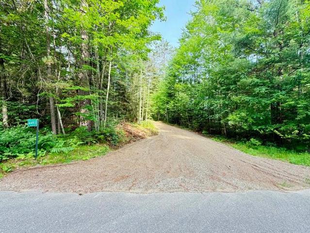 Land for sale in Rhinelander, Wisconsin
