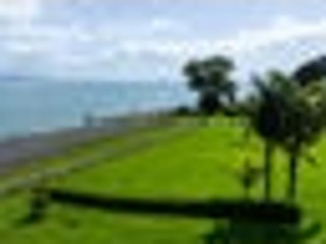 Land for sale in Waikato