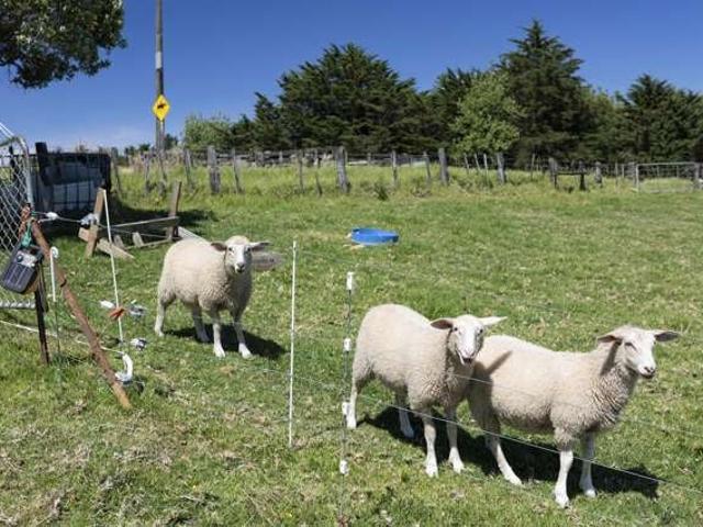 Property for sale in Fairburn, Northland