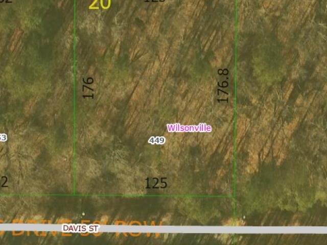 Land for sale in Wilsonville, Alabama