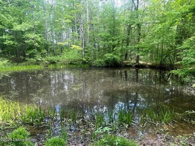 Land for sale in Lebanon, Kentucky