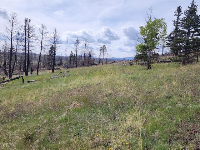 Land for sale in Fort Garland, Colorado