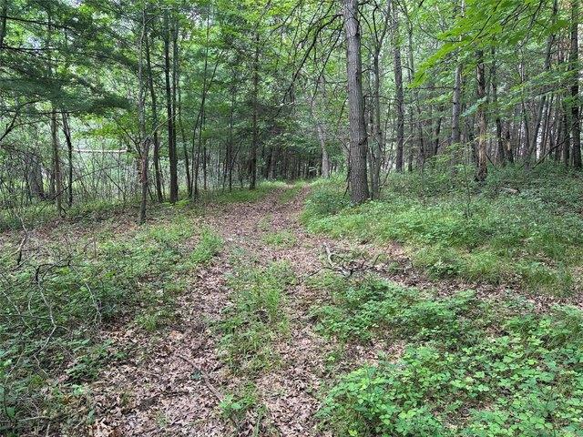 Land for sale in Dunn, Wisconsin
