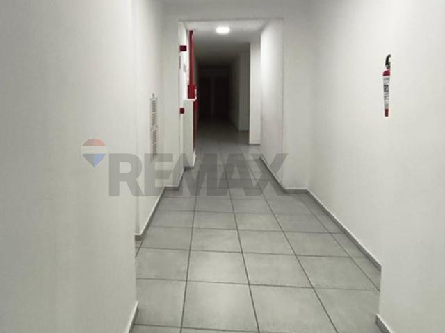 Apartamento aluguel em Região Imediata de Campinas, Região Metropolitana de Campinas