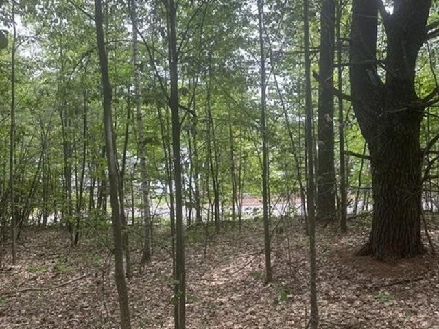 Land for sale in New Hampshire