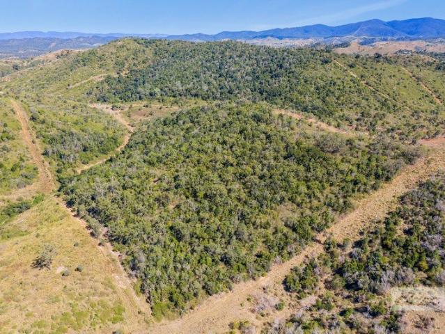 Land for sale in Bracewell, Queensland