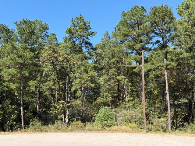 Land for sale in Texas Grand Ranch, New Waverly