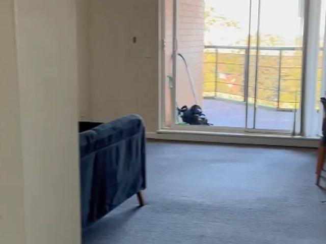 Room for rent in Sydney, New South Wales