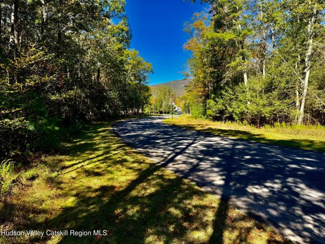 Land for sale in Catskill, New York