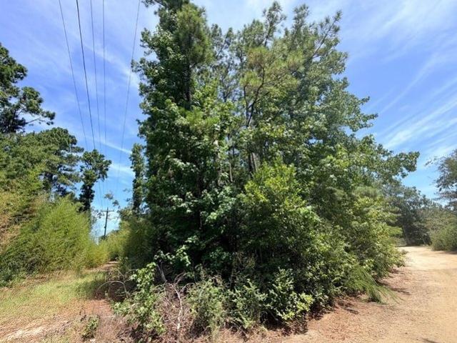 Land for sale in Jasper, Texas