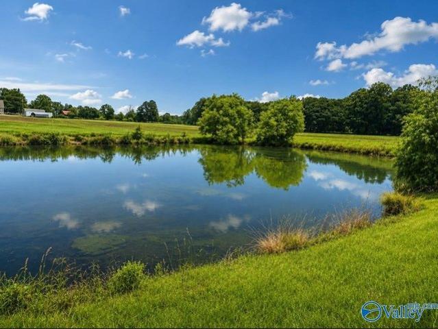 Land for sale in Centre, Alabama