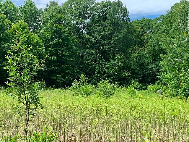 Land for sale in Ontario
