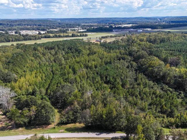 Land for sale in Hamilton, Alabama
