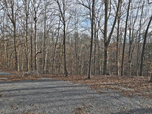 Land for sale in Russell Springs, Kentucky