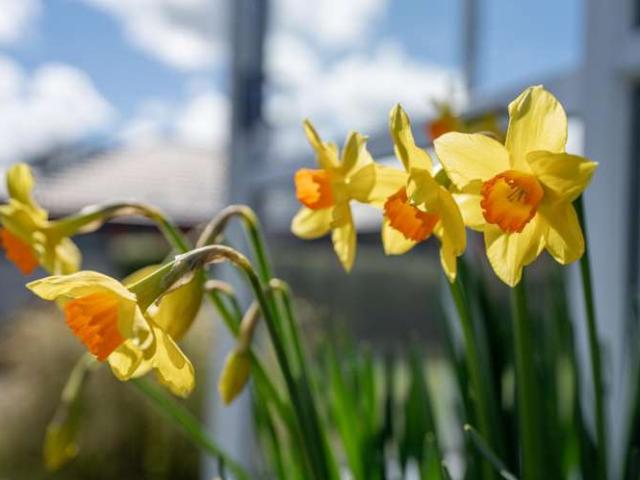 House for sale in Invercargill, Southland