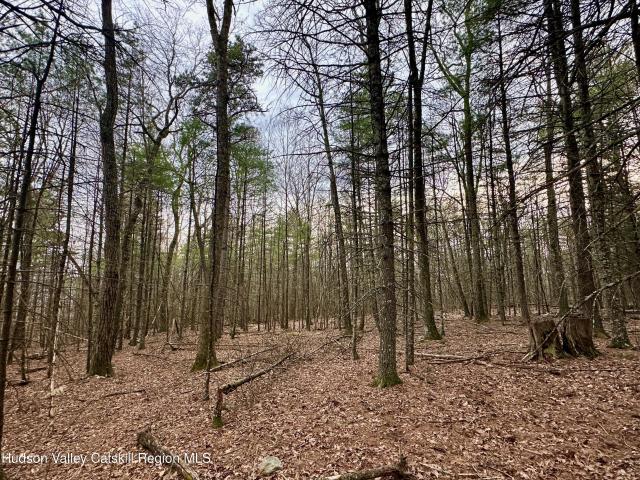 Land for sale in New York