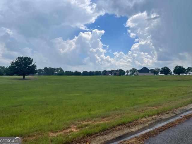 Land for sale in Hawkinsville, Georgia