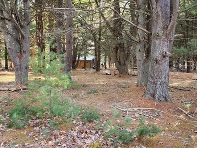 Land for sale in Cooksburg, Pennsylvania
