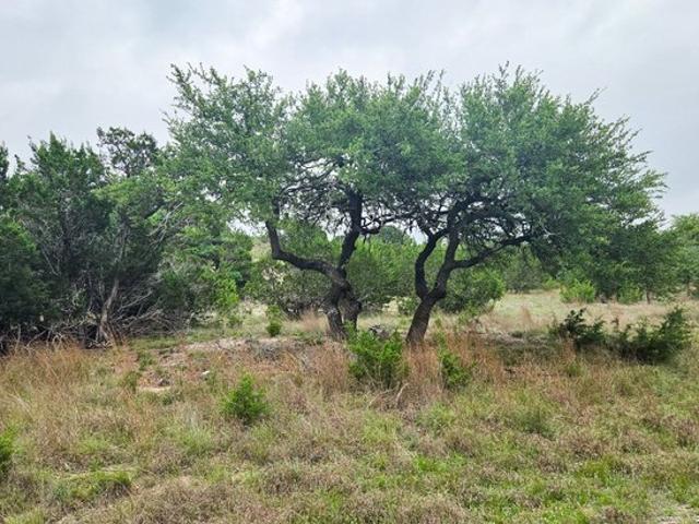 Land for sale in Blanco, Texas