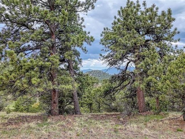 Land for sale in Custer, Colorado