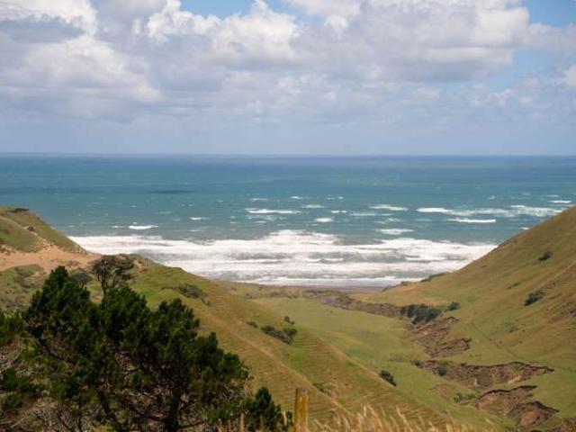 Property for sale in Waiuku