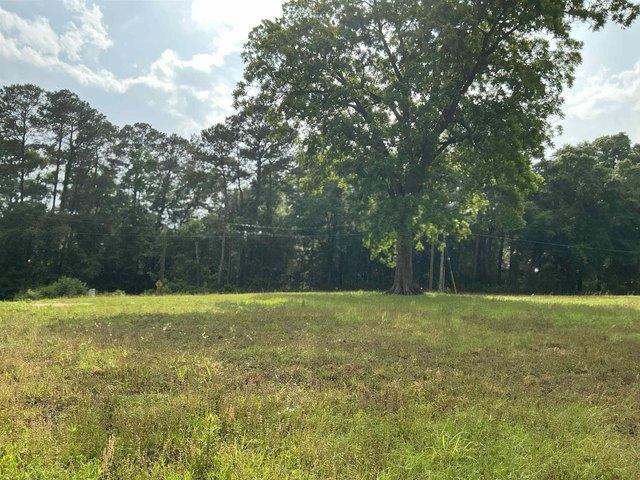 Land for sale in Andalusia, Alabama