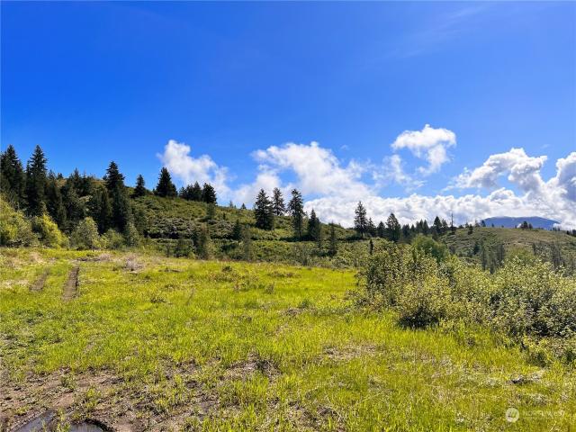 Land for sale in Washington