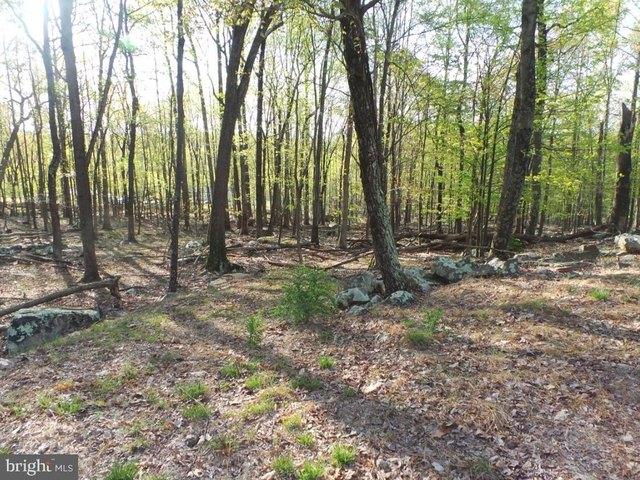 House for sale in Berkeley Springs, West Virginia