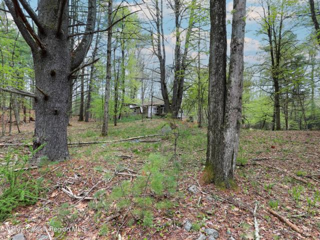 Land for sale in New York