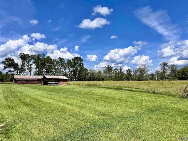 Land for sale in Prairieville, Louisiana