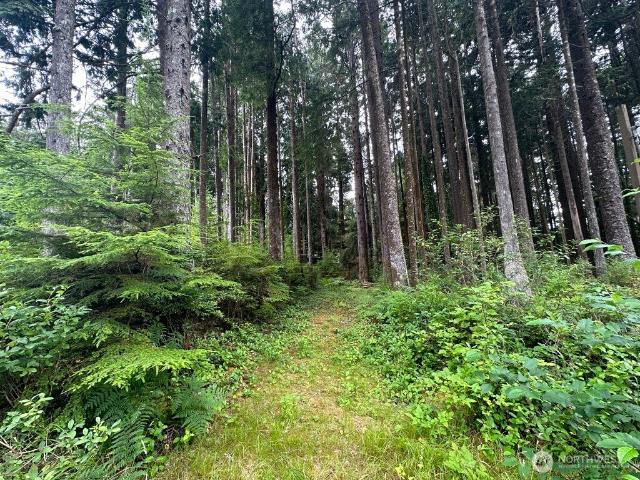 Land for sale in Moclips, Washington