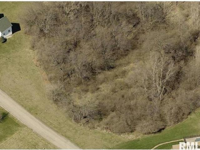 Land for sale in Petersburg, Illinois