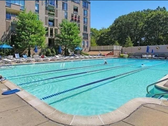 Condo for rent in Brookline, Massachusetts