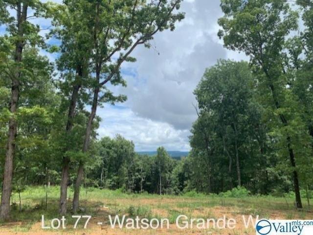 Land for sale in Owens Cross Roads Land for sale in Owens Cross Roads