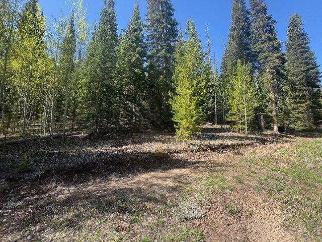 Land for sale in Walden, Jackson County
