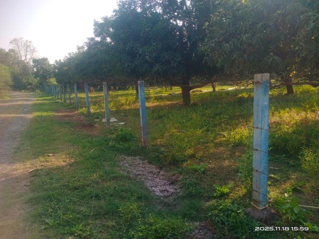Land for sale in Tilakwada, Gujarat