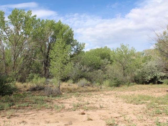 Land for sale in Torrey, Utah