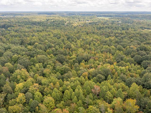Land for sale in North Carolina