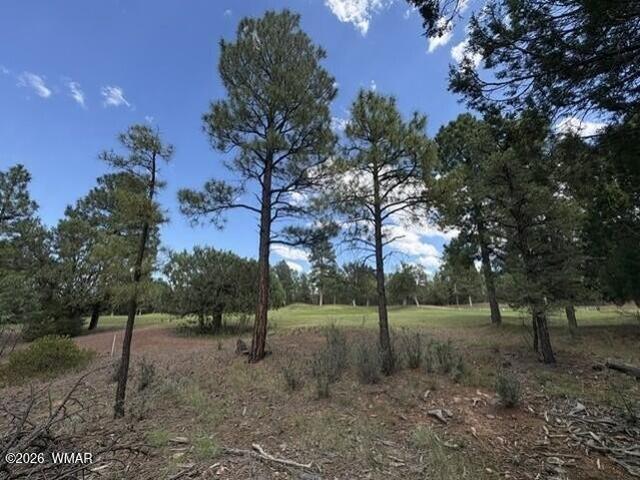 Land for sale in Navajo, Arizona