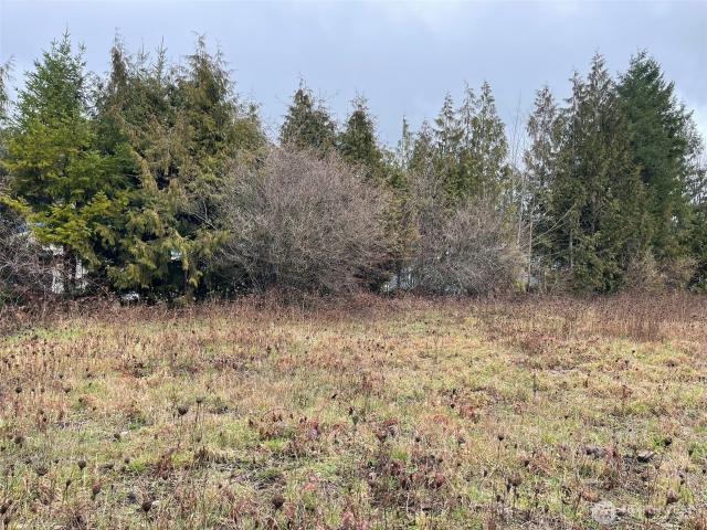 Land for sale in Concrete, Washington