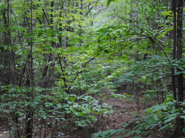 Land for sale in West Point, Georgia
