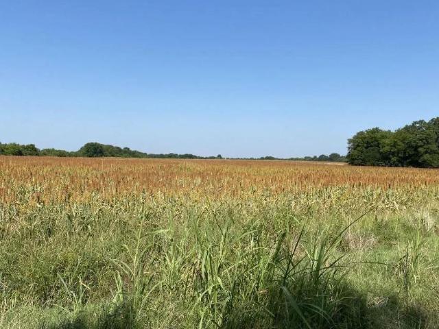 Land for sale in Lamar, Texas