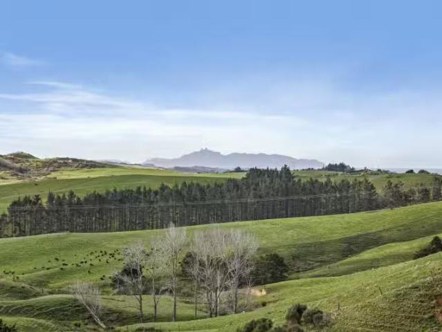House for sale in Northland