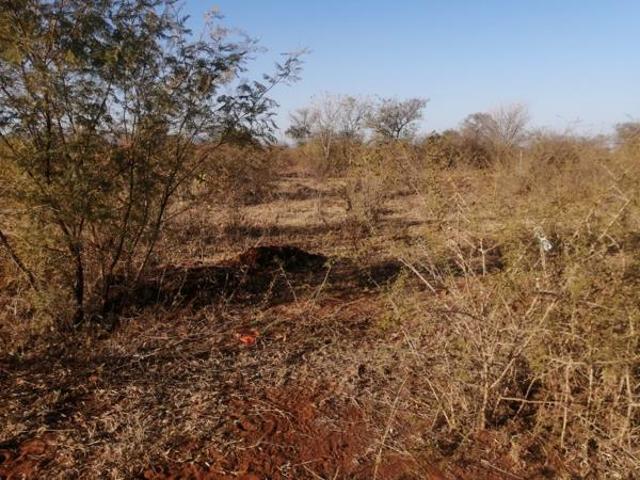 Land for sale in Lebowakgomo, Lepelle-Nkumpi Local Municipality