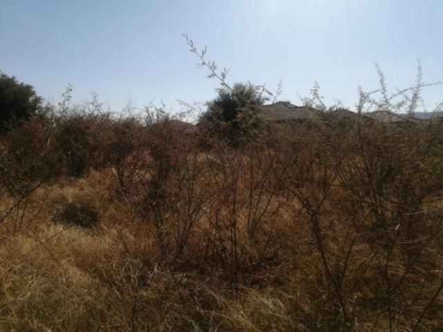 Land for sale in Lebowakgomo, Lepelle-Nkumpi Local Municipality