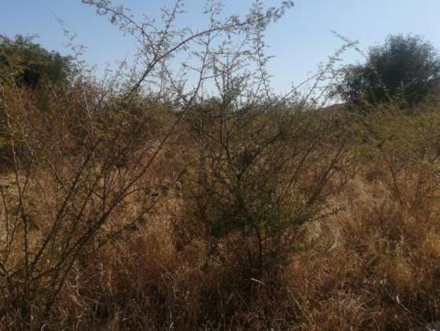 Land for sale in Lebowakgomo, Limpopo